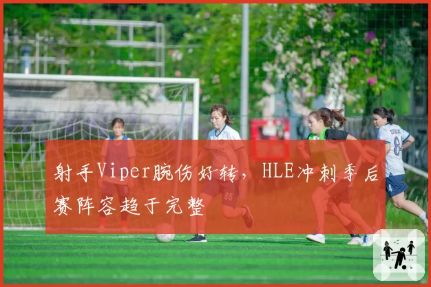 射手Viper腕伤好转，HLE冲刺季后赛阵容趋于完整